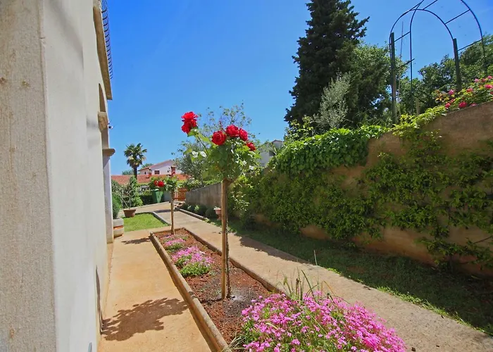 Vigo * Labin (Istria)