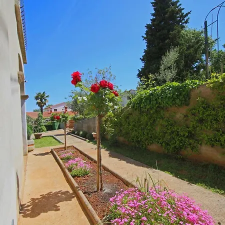 Vigo * Labin (Istria)